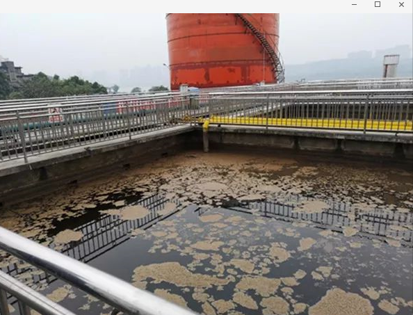泸州老窖酿酒基地污水渗排超标