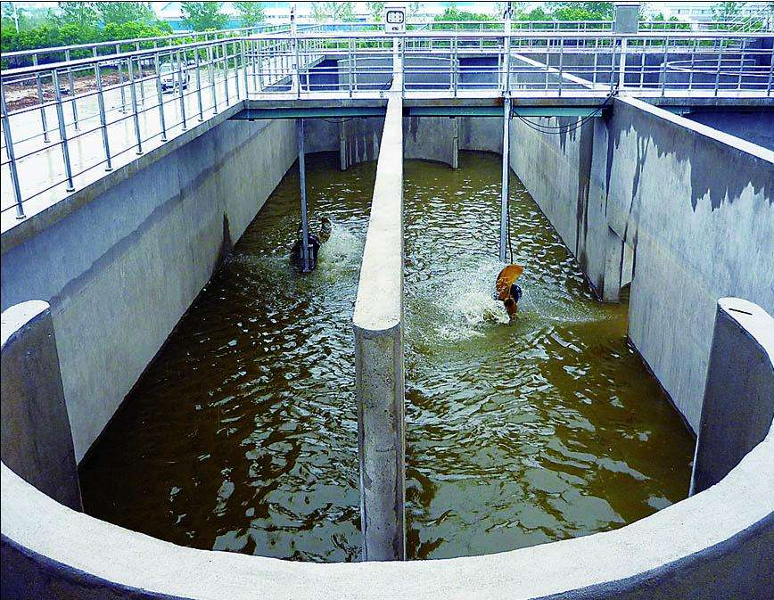 污水处理中微生物分类及代谢