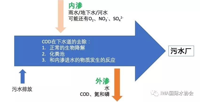 数据分析：管网渗漏对黑臭水体和污水厂的影响