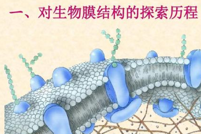 污水处理技术之生物挂膜