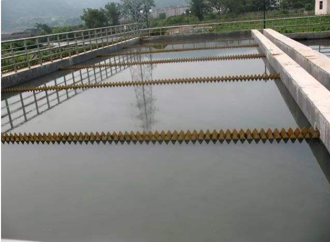 新农村污水处理良方厌氧池+人工湿地方式！