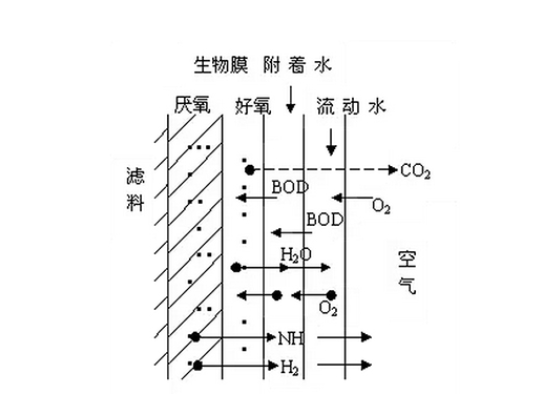 污水处理的50个知识点你都了解吗？（三）