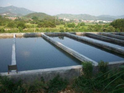 养殖废水的危害及处理相关解析