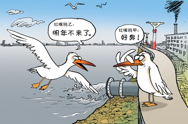 水质污染产生的危害你了解吗? 水质污染产生的危害你了解吗?