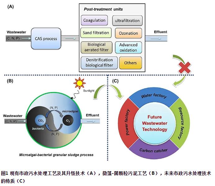 未来市政污水处理技术路在何方？